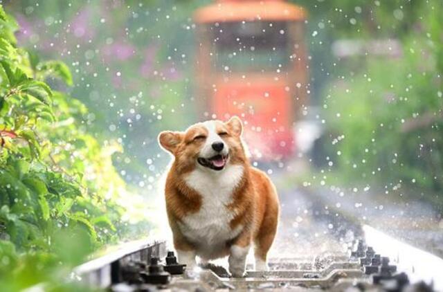 Trečiadienio horoskopas 12-ai zodiako ženklų