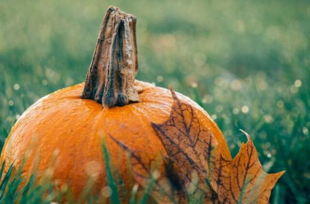 Trečiadienio horoskopas 12-ai zodiako ženklų