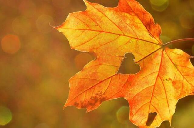 Trečiadienio horoskopas 12-ai zodiako ženklų