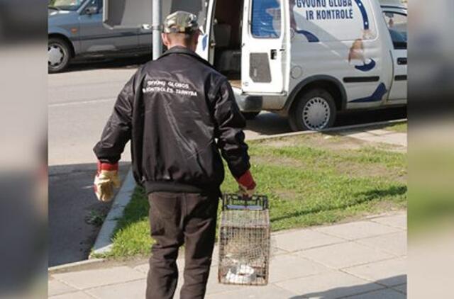 Už priglaustus šunis – beveik 6 tūkst. Eur sąskaita