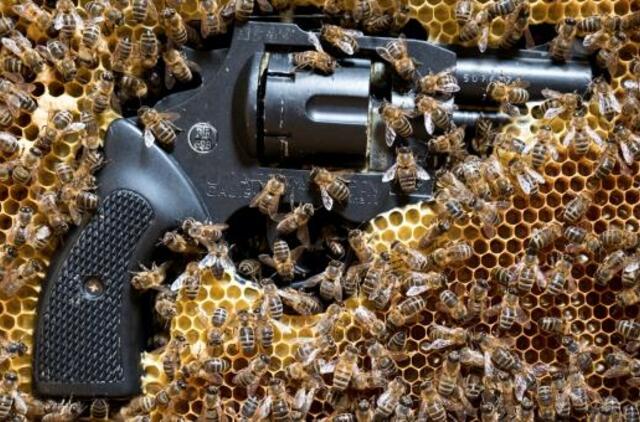 Virtualaus „Nepatogaus kino“ programoje – herojai, neketinantys nurimti