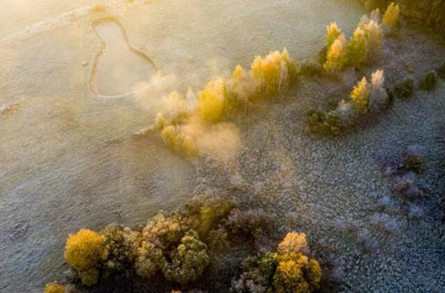Žemės paviršių balins šalnos, tačiau lapkritis nustebins