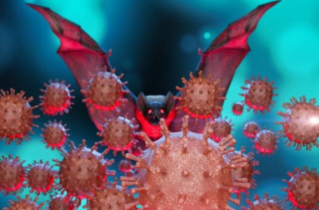 Darys viską, kad išsiaiškintų COVID-19 kilmę