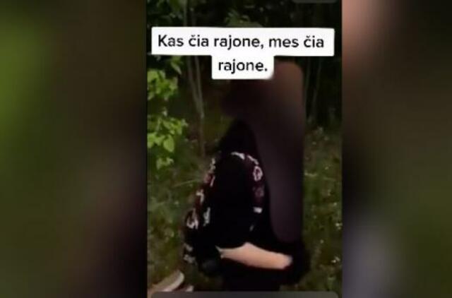 Internete plinta paauglių patyčių prieš bendraamžę įrašas