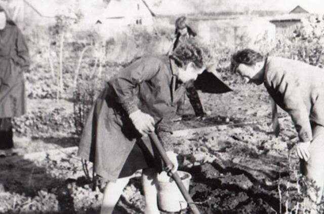 Klaipėdos akvarelės: namai ir žmonės (653)