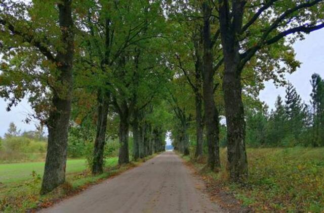 Klaipėdos etnokultūros centras kviečia į renginius