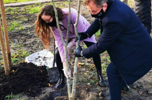 KU Botanikos sode pradedamas kurti Rytų sodas