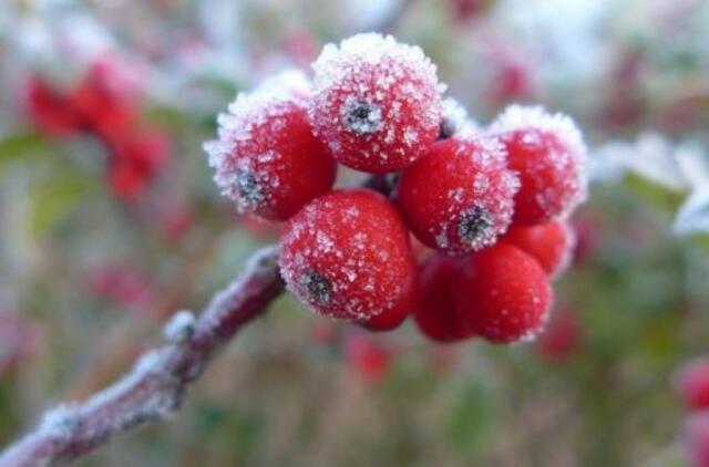 Orai: šiluma stebins nebeilgai, šią savaitę sulauksime ir pirmųjų snaigių