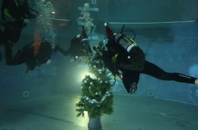 Praminė kopūstų bačka: nardymo šachta - teismų karuselėje