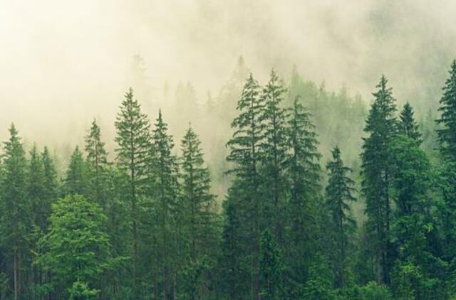 Šeštadienio horoskopas 12-ai zodiako ženklų