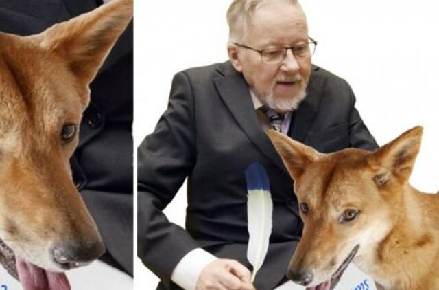 Šuo dingas ir kiti V.Landsbergio šedevrai