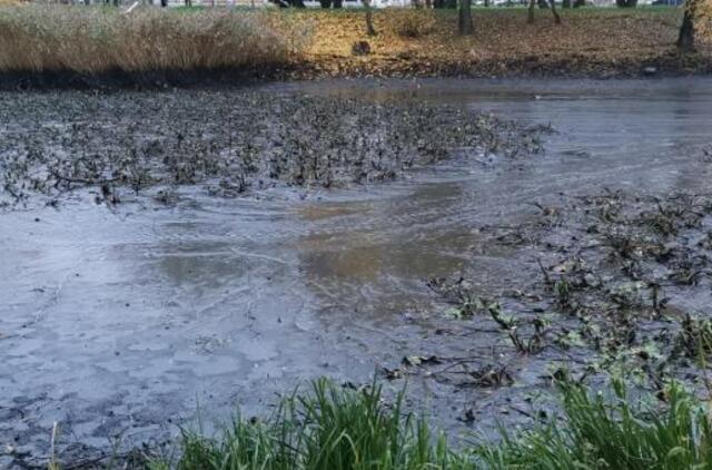 Tikisi, kad Malūno tvenkinys nebenuseks