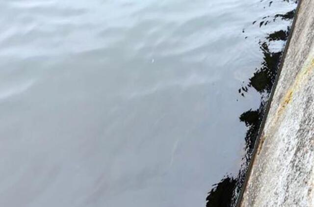 Uosto teritorijoje - naftos produktai, pradėtas tyrimas