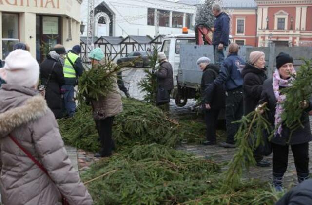 Eglišakiai dalinami nebus