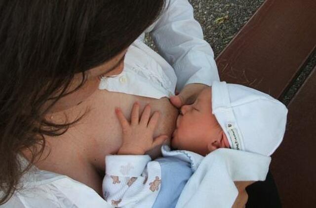 Gyvenimas pro langą: avižinė košė ir susireikšminimas