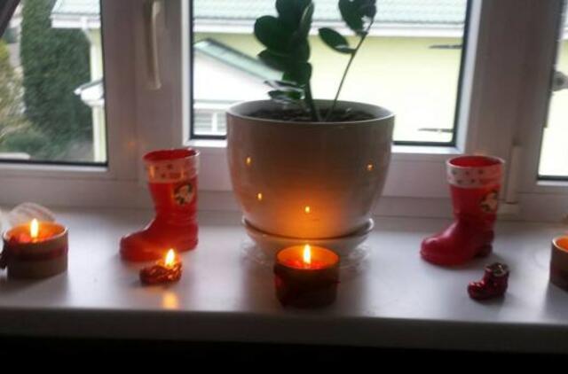 Gyvenimas pro langą: bandymas susigaudyti liepų rūšyse