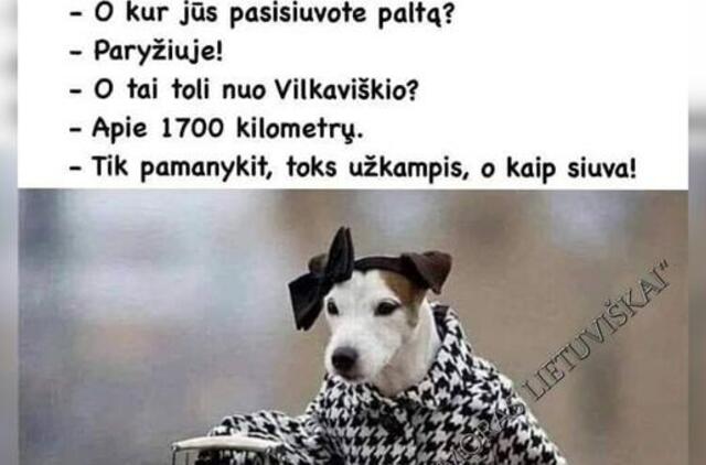 Gyvenimas pro langą: kai nei plaukmenys, nei pripučiamos valtys nereikalingi...