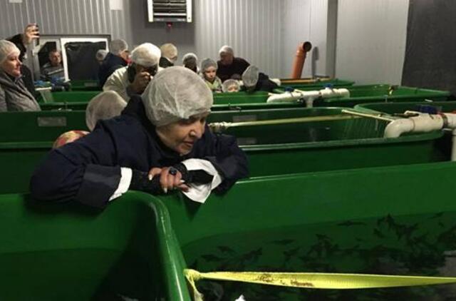 Gyvenimas pro langą: su veltiniais į baseiną?