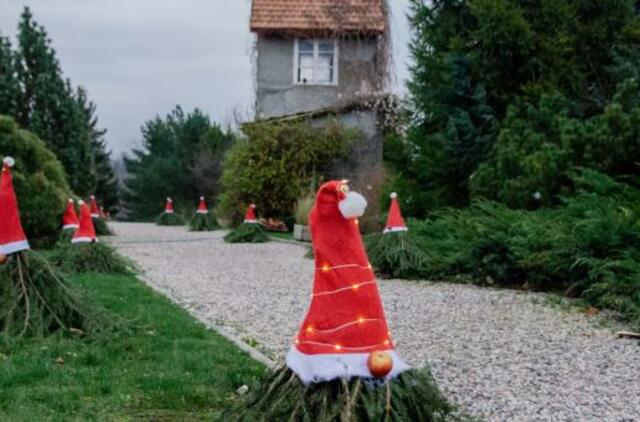 KU Botanikos sode įsikūrė nykštukų bendruomenė