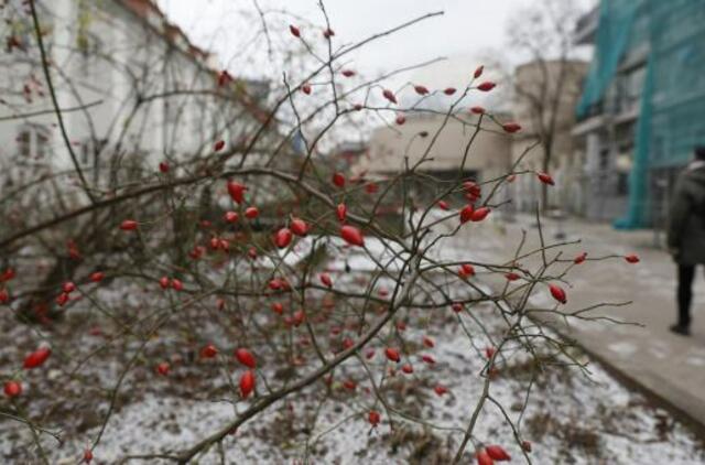 Naktį vietomis gali būti slidu, eismo sąlygas sunkins gūsingas vėjas