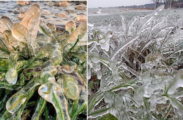 Neringoje - fantastiškas gamtos grožis