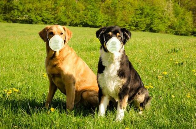 Per praėjusią parą - 3303 nauji koronaviruso atvejai