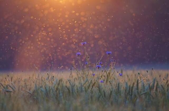 Pirmadienio horoskopas 12 zodiako ženklų