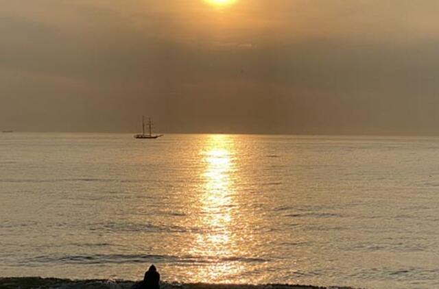 Sergančiojo koronavirusu dienoraštis (14)