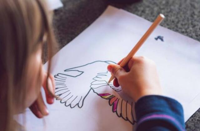 Taryba pritarė darželių reorganizacijos planui