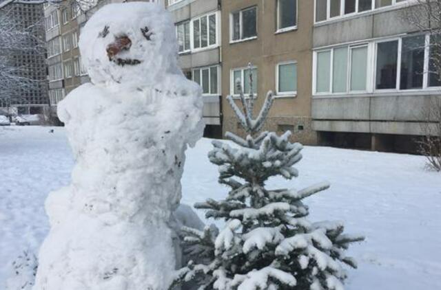 Atėjusi žiema parodė gyventojų kūrybiškumą