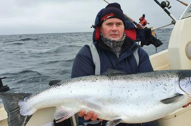 Klaipėdiečio laimikis - net 15 kg lašiša