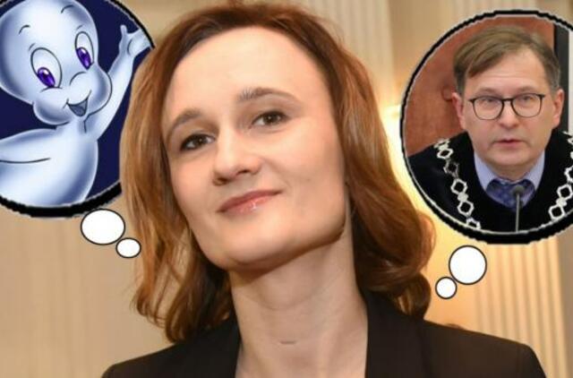 V.Čmilytė-Nielsen saugo Konstitucijos dvasias