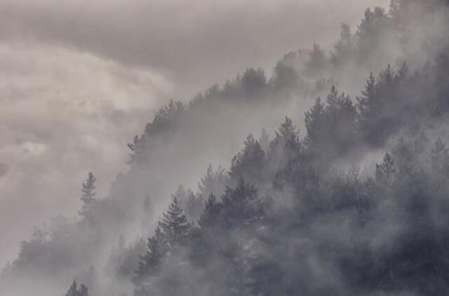 Antradienio horoskopas 12-ai zodiako ženklų