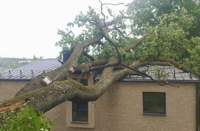 Gamtos stichijos įrodė – neturint draudimo tenka plačiai atverti pinigines