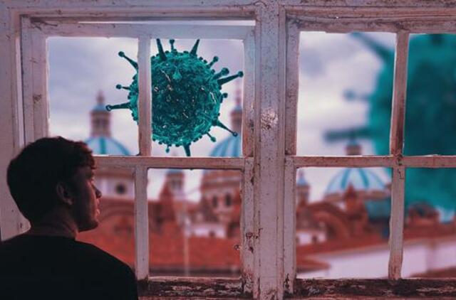 Ištyrus 2460 ėminių, 270 naujų koronaviruso atvejų