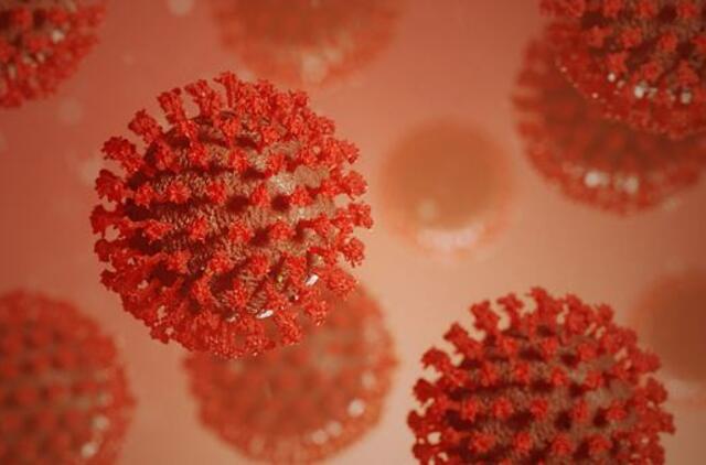 Ištyrus 7494 ėminius, 538 nauji koronaviruso atvejai ir 6 mirtys