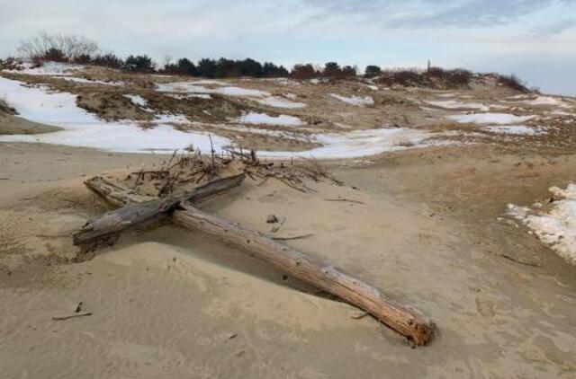 Klaipėdoje – mokymai žurnalistams apie religijų ir įsitikinimų laisvę