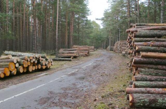 Klausimas dėl Girulių miško: pasigedo pagarbos