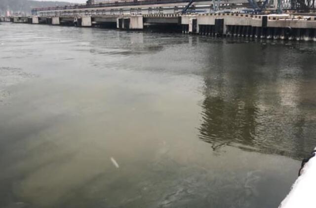 Kuršių marios ties Smiltynės perkėla turi būti stebimos