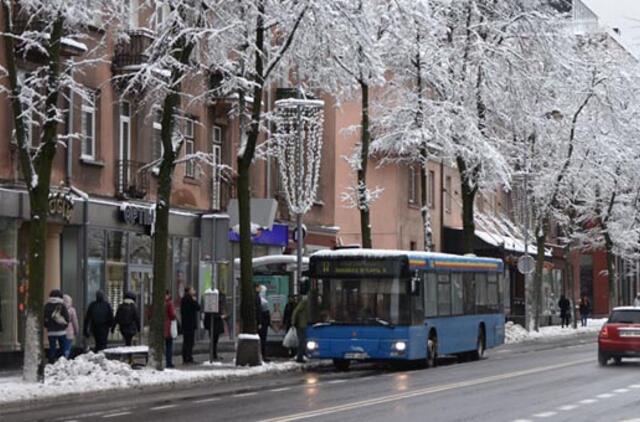 Pavasarį startuos "Transporto balsas"