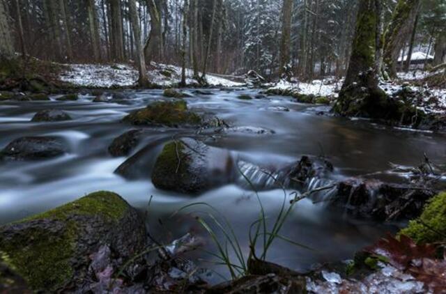 Penktadienio horoskopas 12-ai zodiako ženklų
