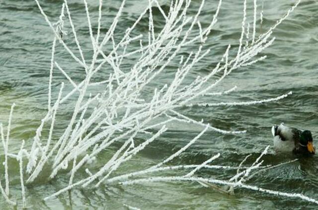 Pirmadienio horoskopas 12-ai zodiako ženklų