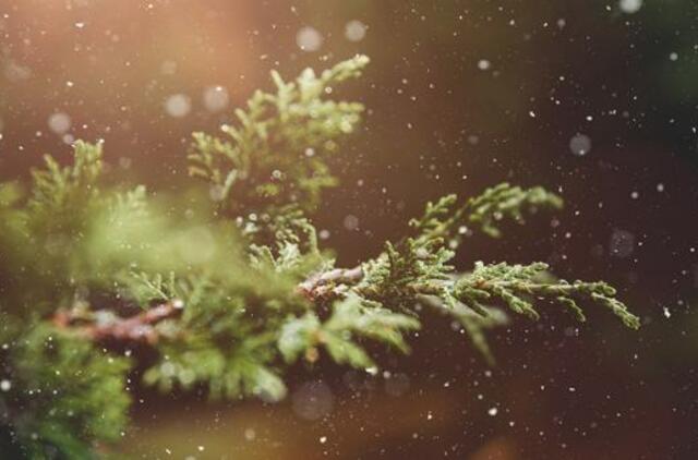 Pirmadienio horoskopas 12-ai zodiako ženklų