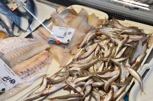 Stintų šiais metais - labai mažai