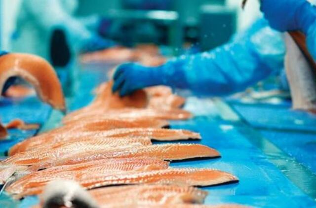 Susipešė Lietuvos ir Norvegijos lašišų gamintojai