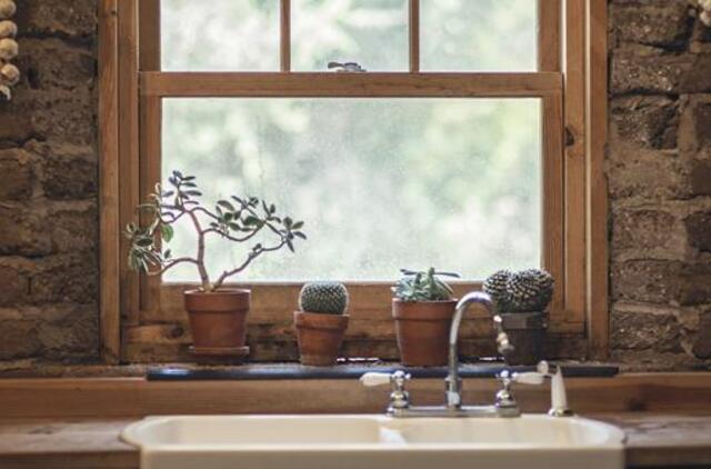 TOP 6 didžiausios turto žalos pagal draudikus