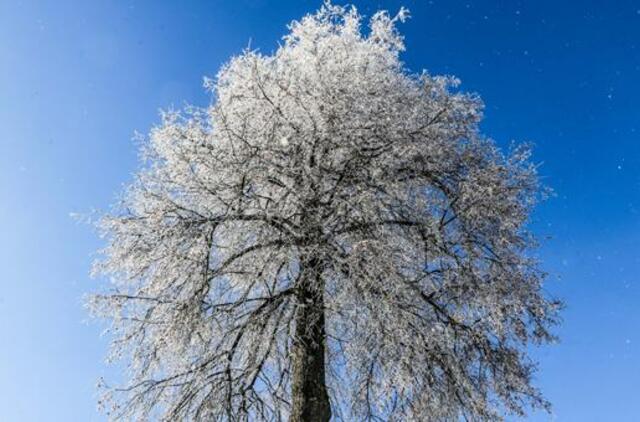 Trečiadienio horoskopas 12-ai zodiako ženklų