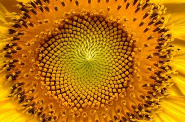 Trečiadienio horoskopas 12-ai zodiako ženklų