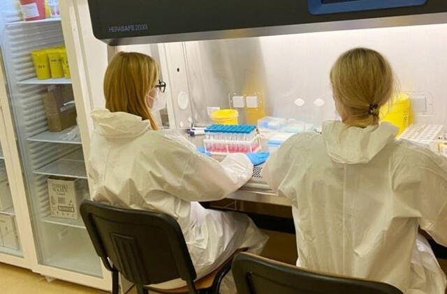 Kaupinių PGR tyrimas