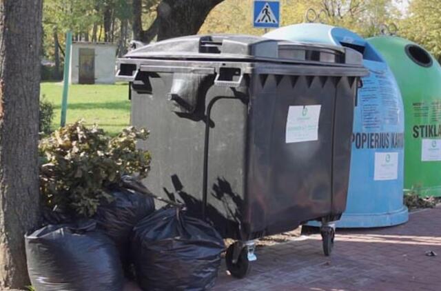 Šakos ir pernykščiai lapai – ne problema, sužinokite, kur juos dėti